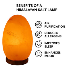 Salt Lamp Egg Shape