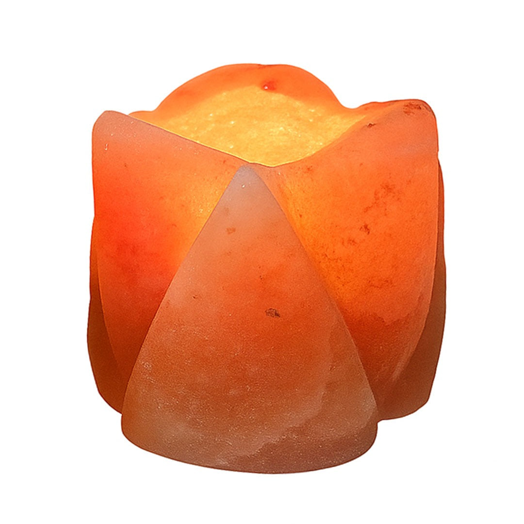 Himalayan Salt Flower candle Holder (Pack of 2)