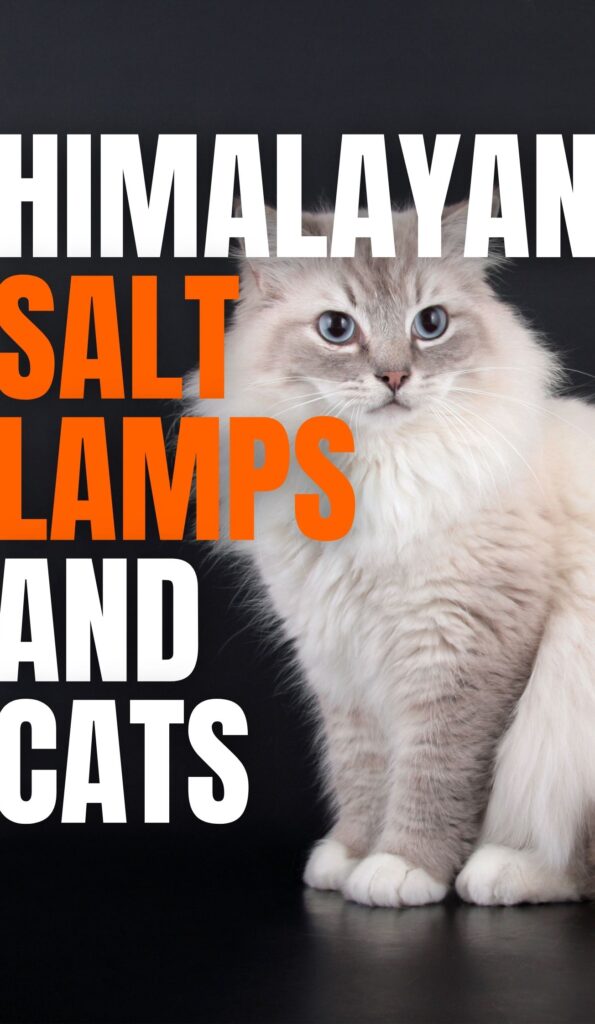 Himalayan Salt Lamps and Cats