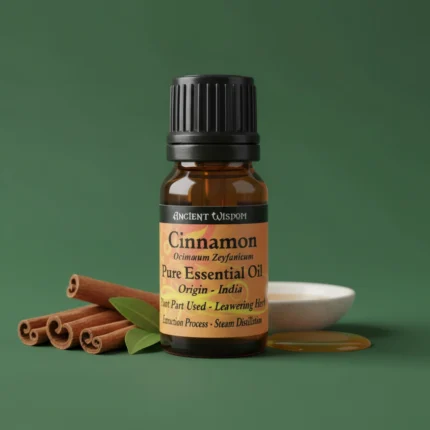 Cinnamon Essential Oil 10ml bottle pure spice oil for immunity, Cinnamon Bark Oil, Warming Essential Oil, Essential Oils for Circulation, Immune Support Oil, Spicy Aromatherapy, Pure Cinnamon Oil, Antimicrobial Oil, Muscle Pain Relief, Cinnamomum Verum, Winter Essential Oil. Cinnamon Oil, Cinnamon Bark, Spice Oil, Warming Oil, Immune Booster, Circulation, Muscle Pain, Aromatherapy, Pure Oil, Organic
