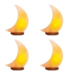 Himalayan Moon Lamp (Pack of 4)